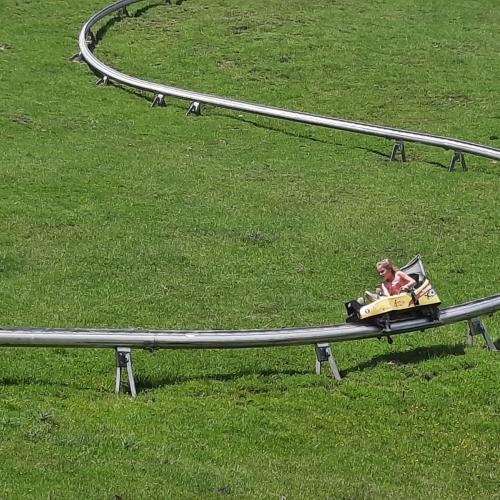 Wildpark 4