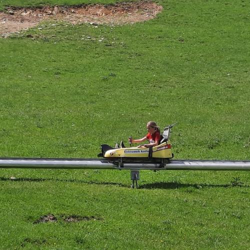 Wildpark 5