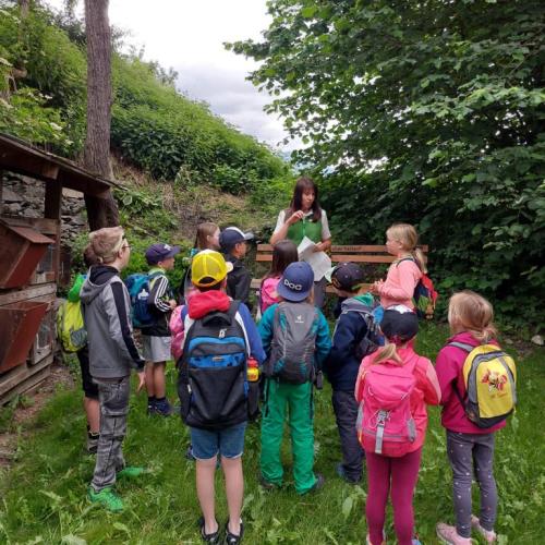 Karola erklärt uns verschiedene Kräuter