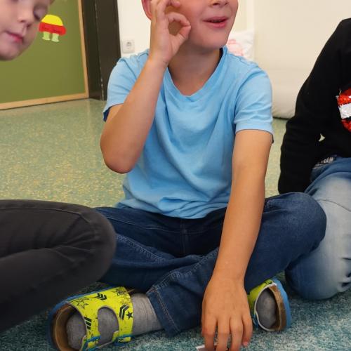 Gebärdenunterstützte Kommunikation