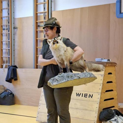 Besuch von der Jägerin