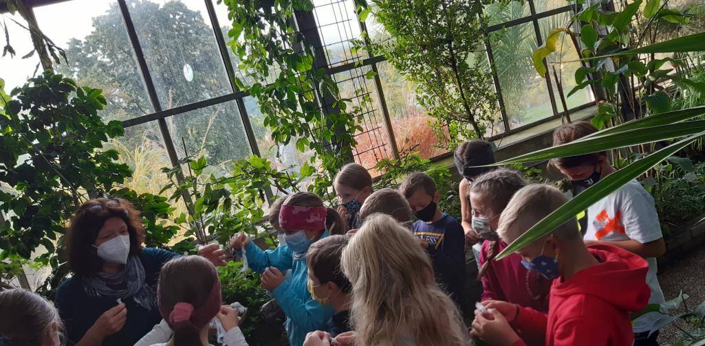 ibkbotanischergarten